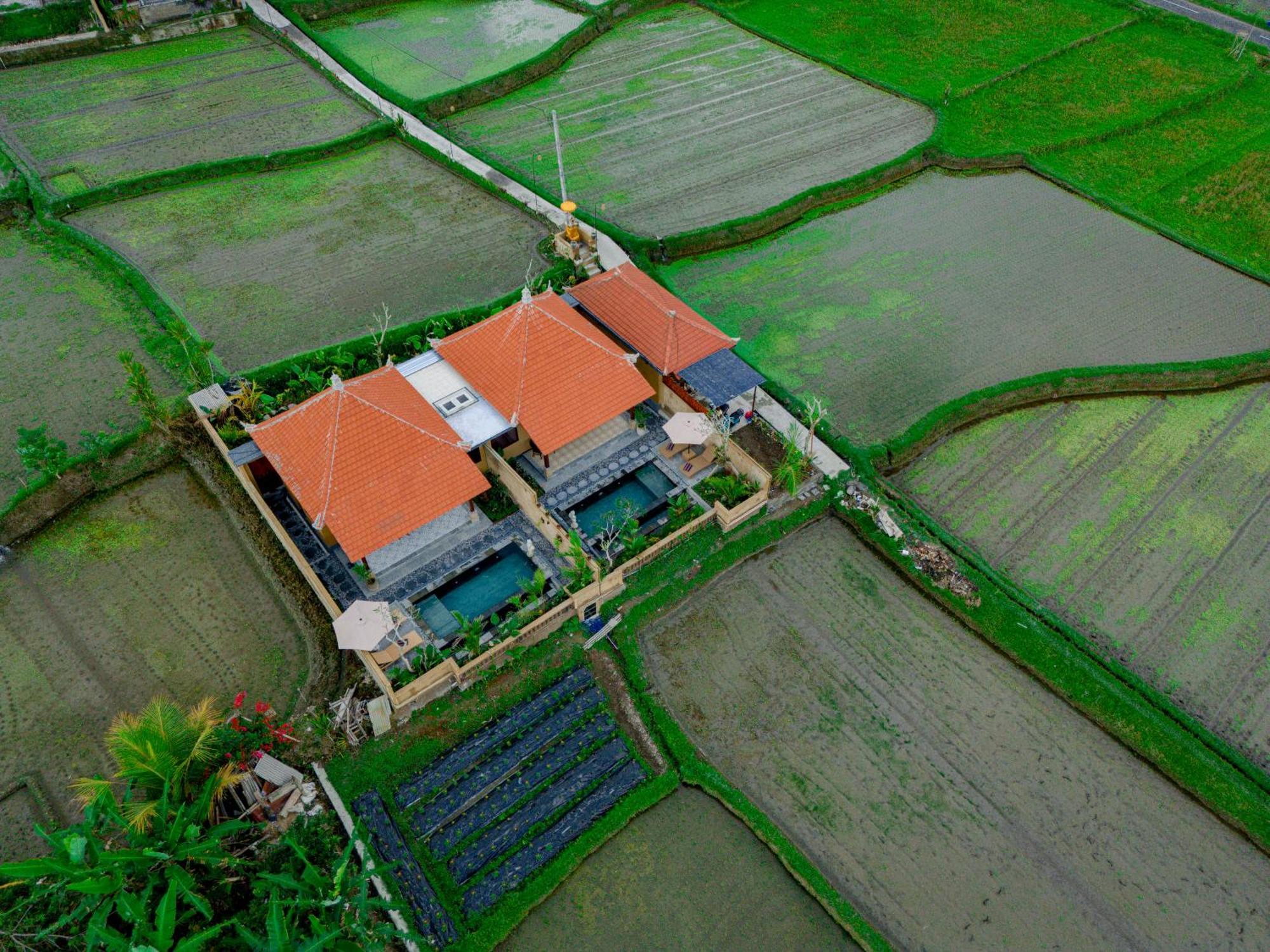 Umesari Villa Sebatu By Uniquecations Убуд Екстер'єр фото
